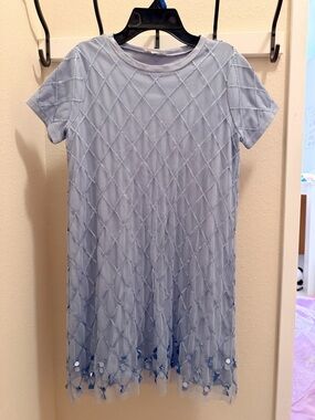 Crewcuts Light Blue Embroidered Tulle Swing Dress